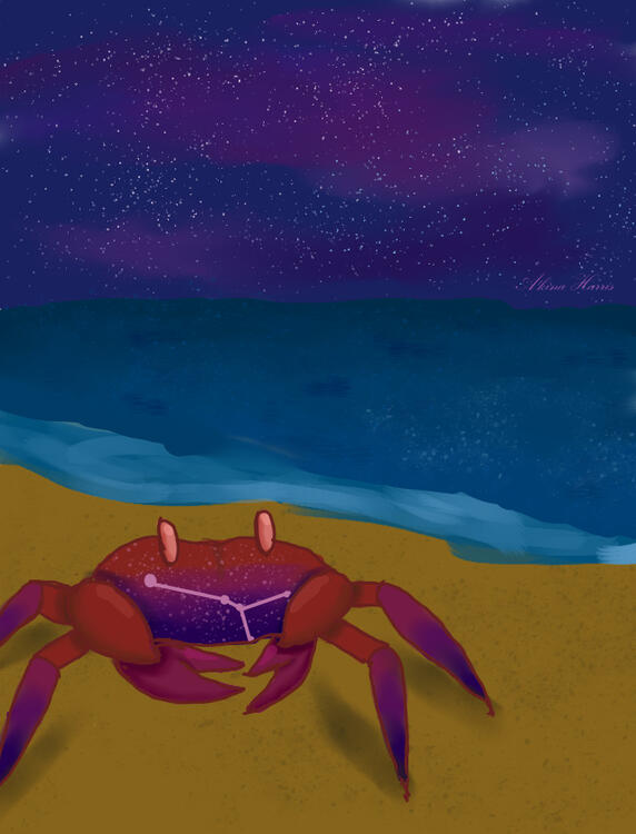 cancer the crab
